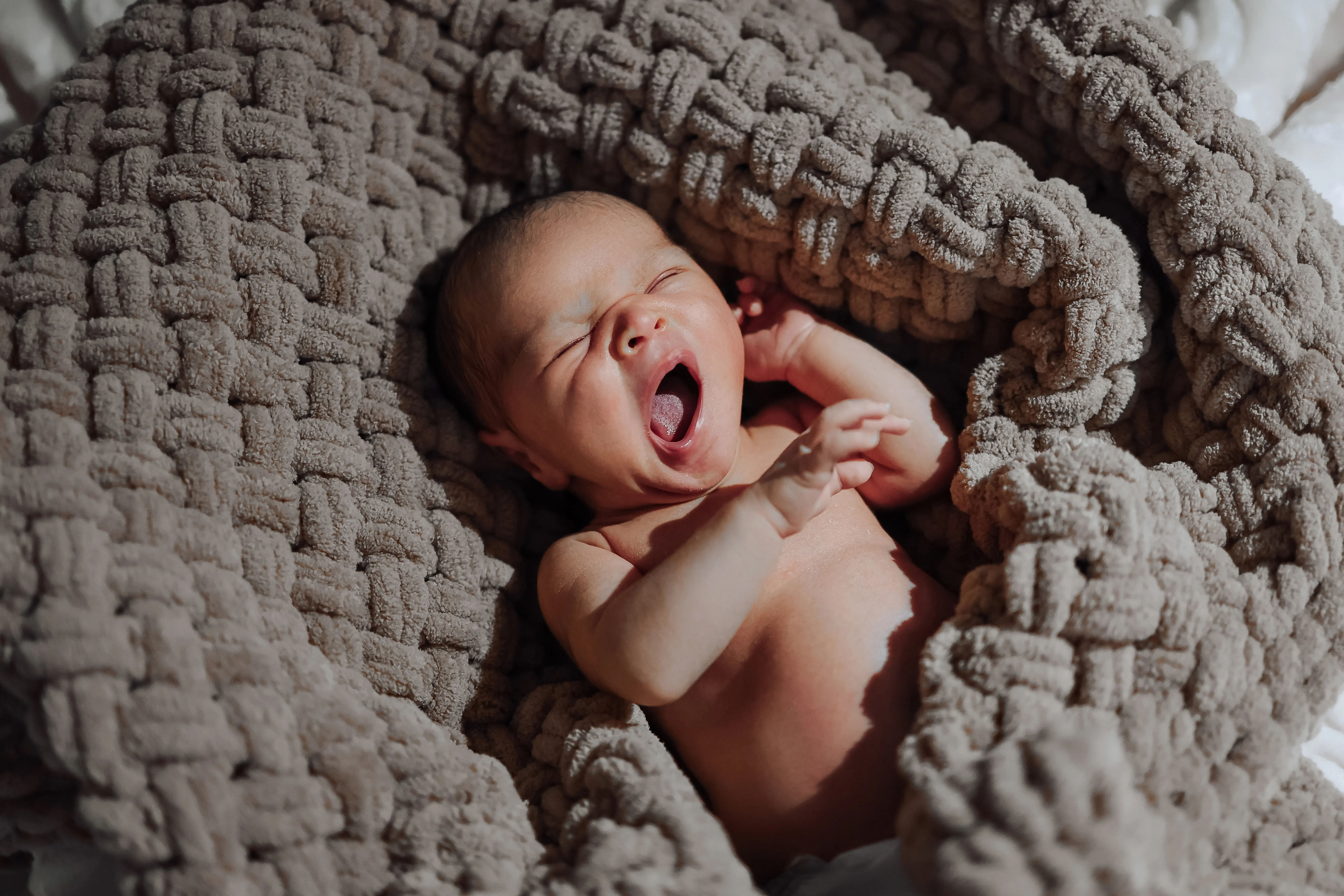 Baby Grunt